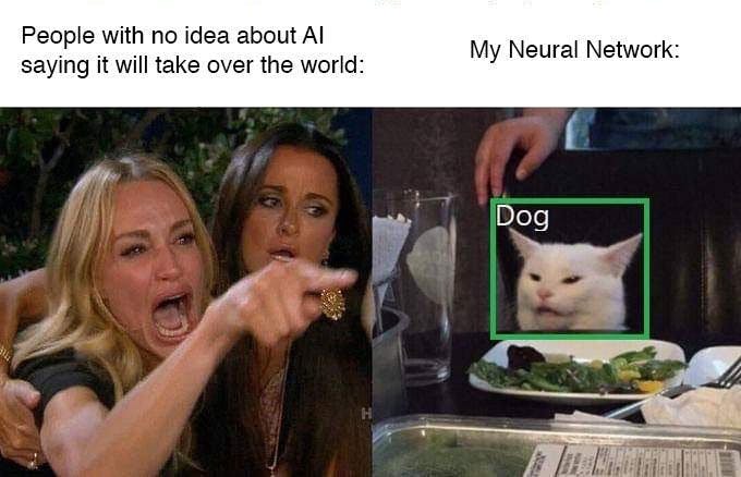 Woman Yelling at Cat meme, where "People with no idea about AI saying it will take over the world" react hysterically to "My Neural Network" which has just classified the cat as "Dog"